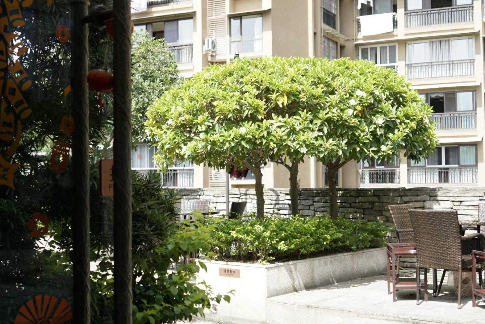 Jin-Tai Holiday Hotel Lạc Sơn Ngoại thất bức ảnh